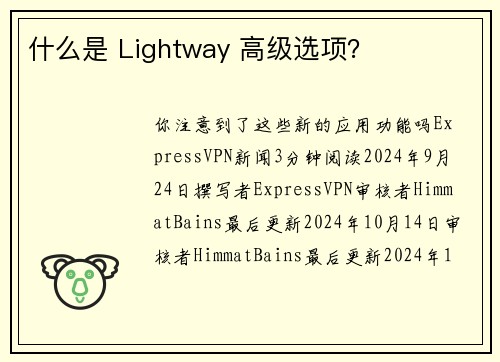 什么是 Lightway 高级选项？ 